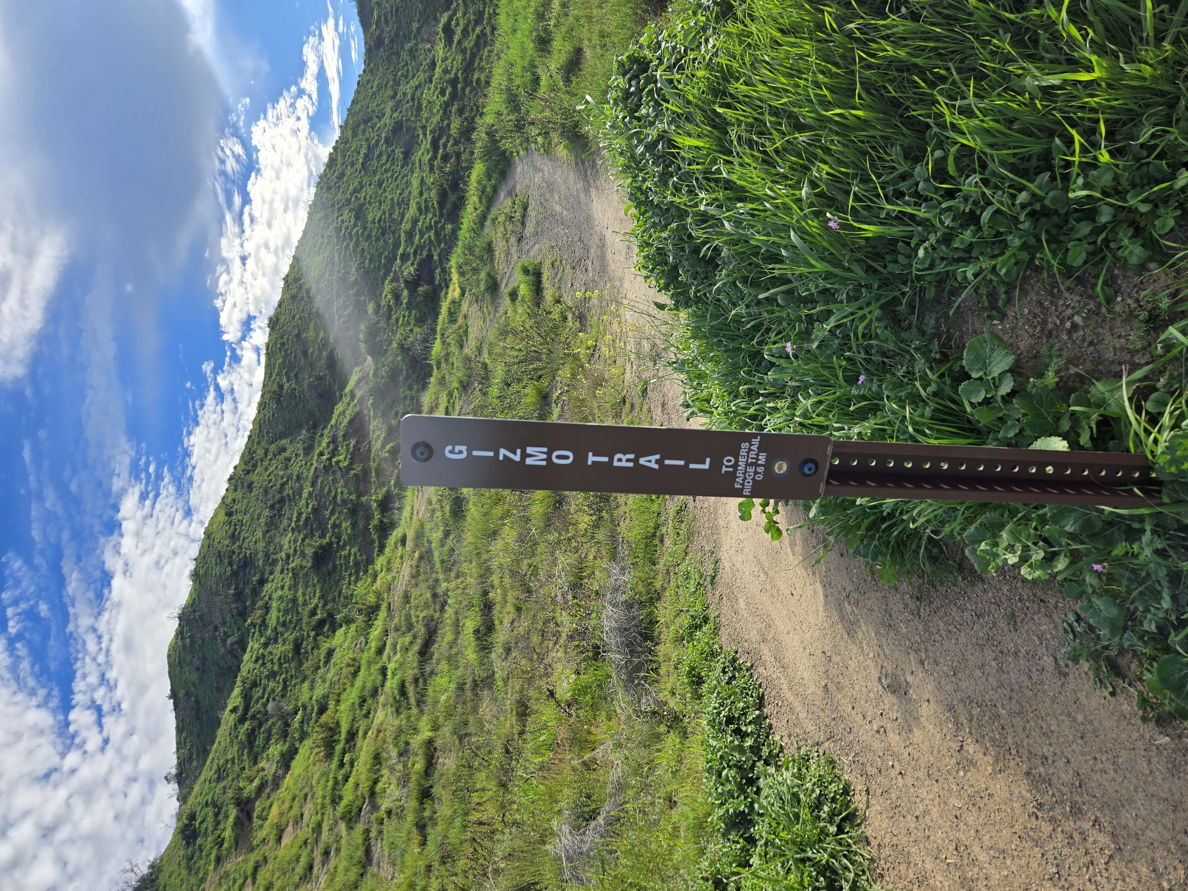 Gizmo Trail – Point Mugu · 2026